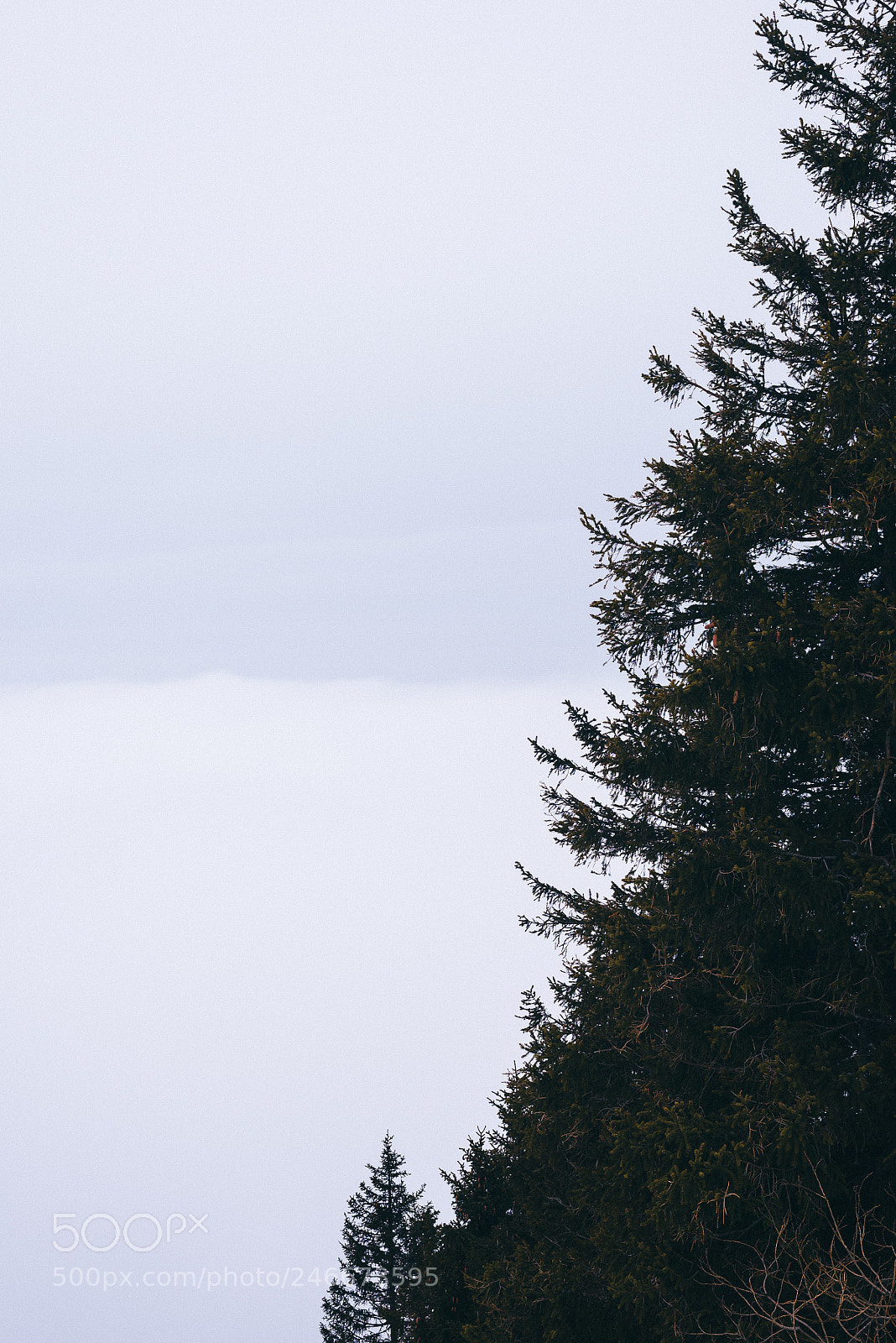 Nikon D600 sample photo. Rigi ii photography