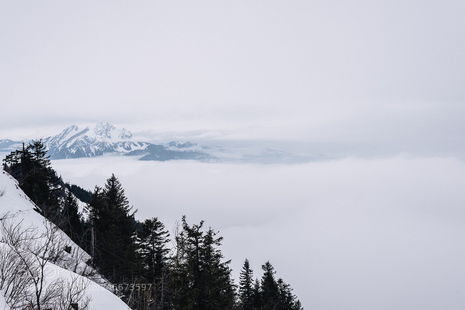 Nikon D600 sample photo. Rigi i photography