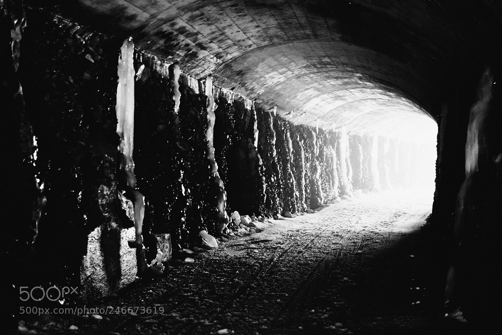 Nikon D600 sample photo. Abandoned railway tunnel photography