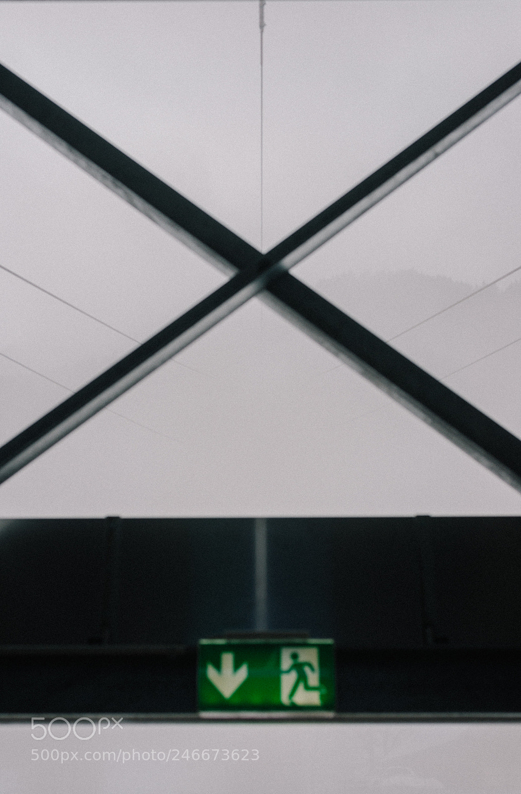 Nikon D600 sample photo. Wires go higher. photography