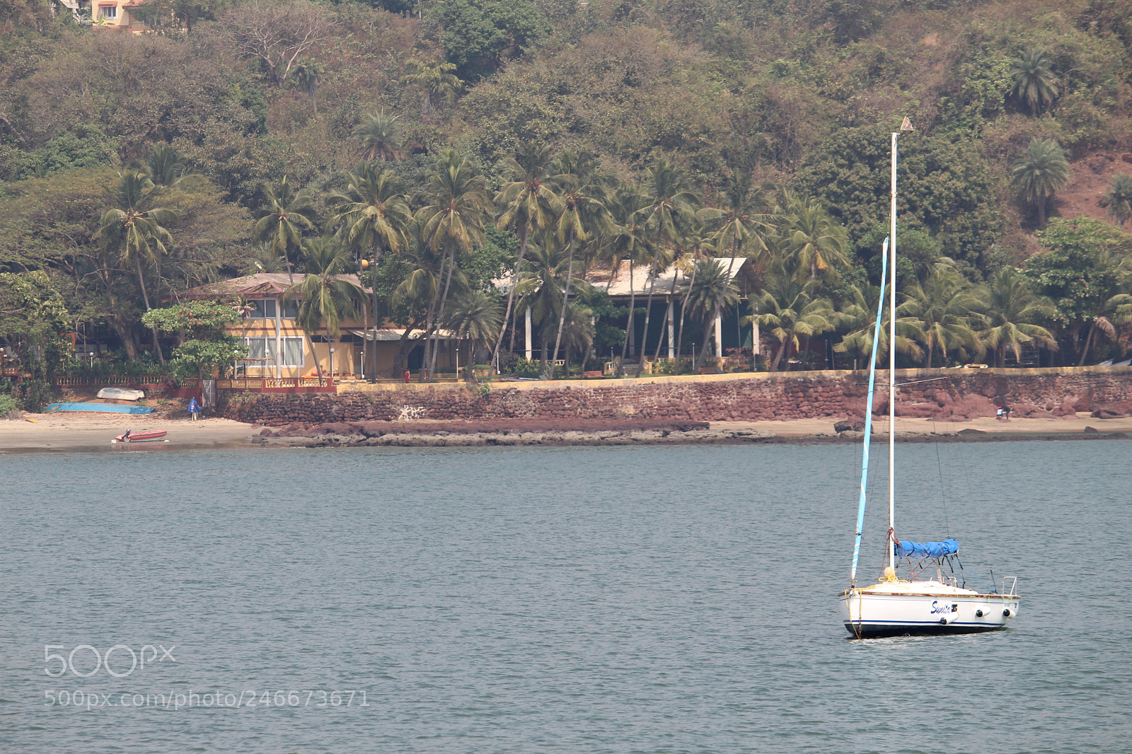 Canon EF-S 55-250mm F4-5.6 IS II sample photo. Img photography