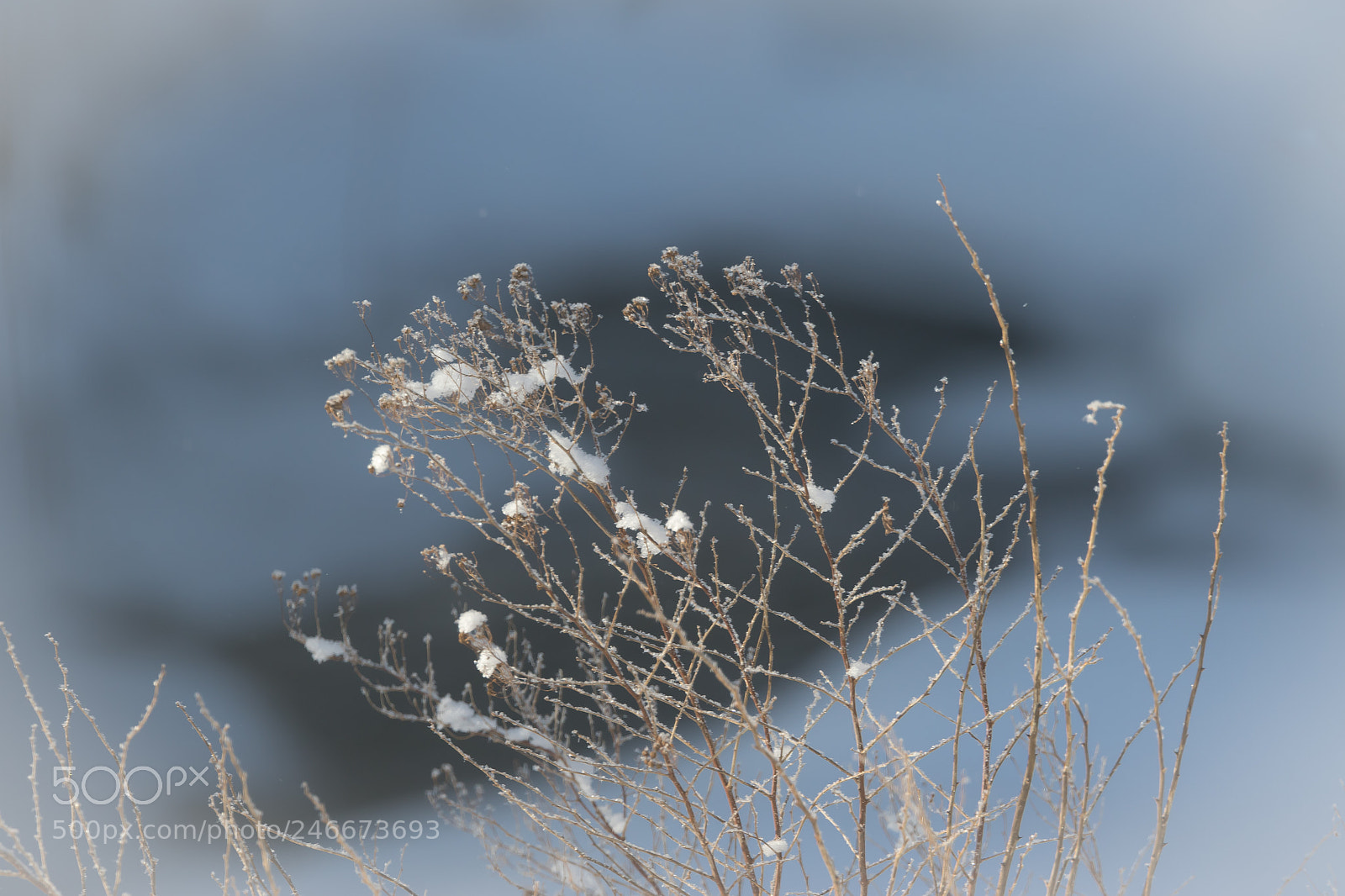 Canon EOS 7D Mark II sample photo. Peaceful easy feeling photography
