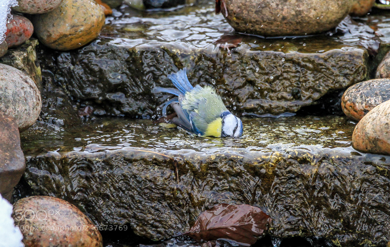 Canon EOS 7D sample photo. Winter bath photography