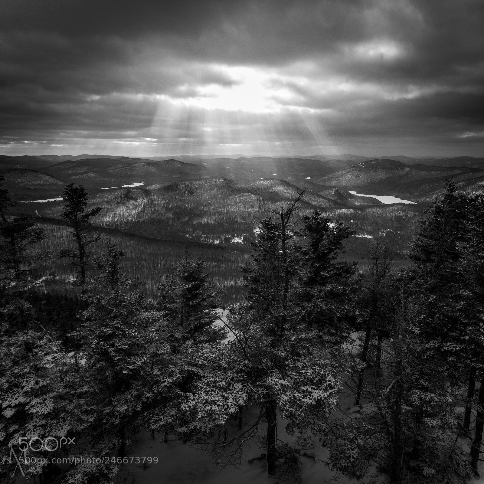 Canon EOS 60D sample photo. From the heavens photography