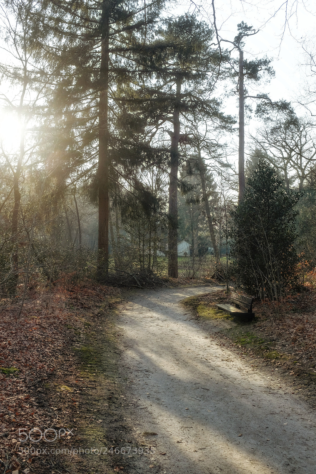 Fujifilm X100S sample photo. #1802 bench photography