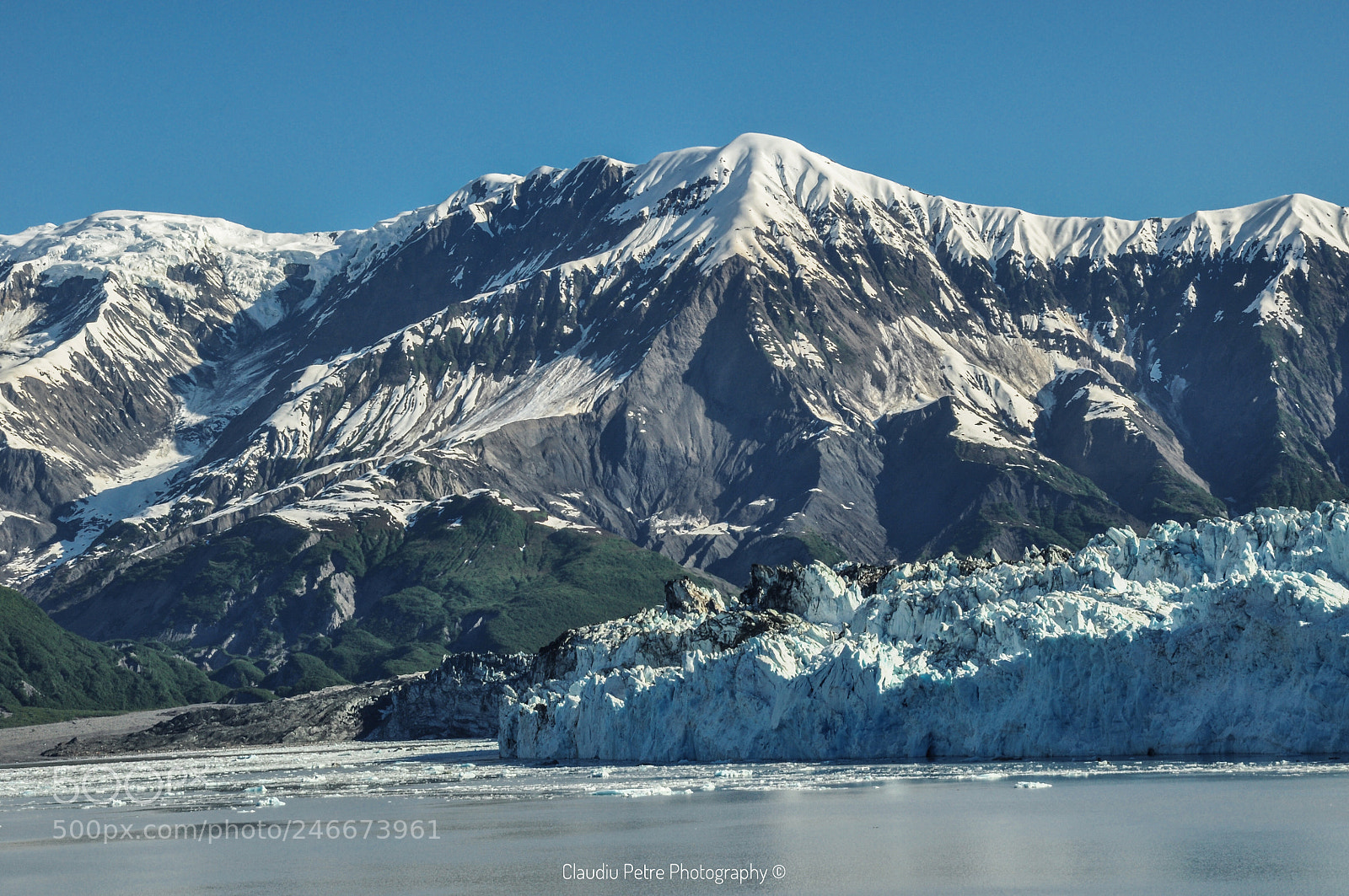 Nikon D90 sample photo. Icebound. photography