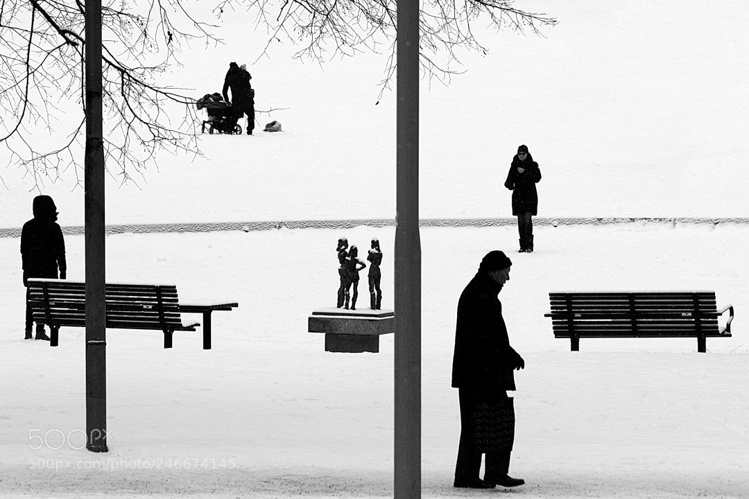 Nikon D7200 sample photo. February mood photography