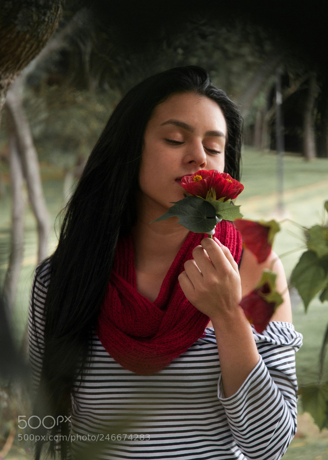 Nikon D300S sample photo. Danicardona armoni photography