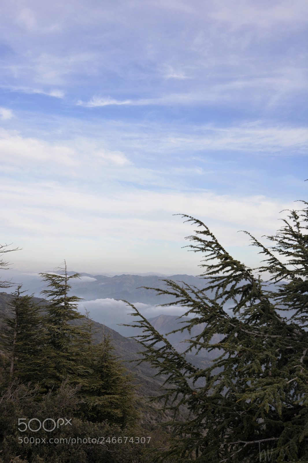 Nikon D7100 sample photo. Blue sky photography