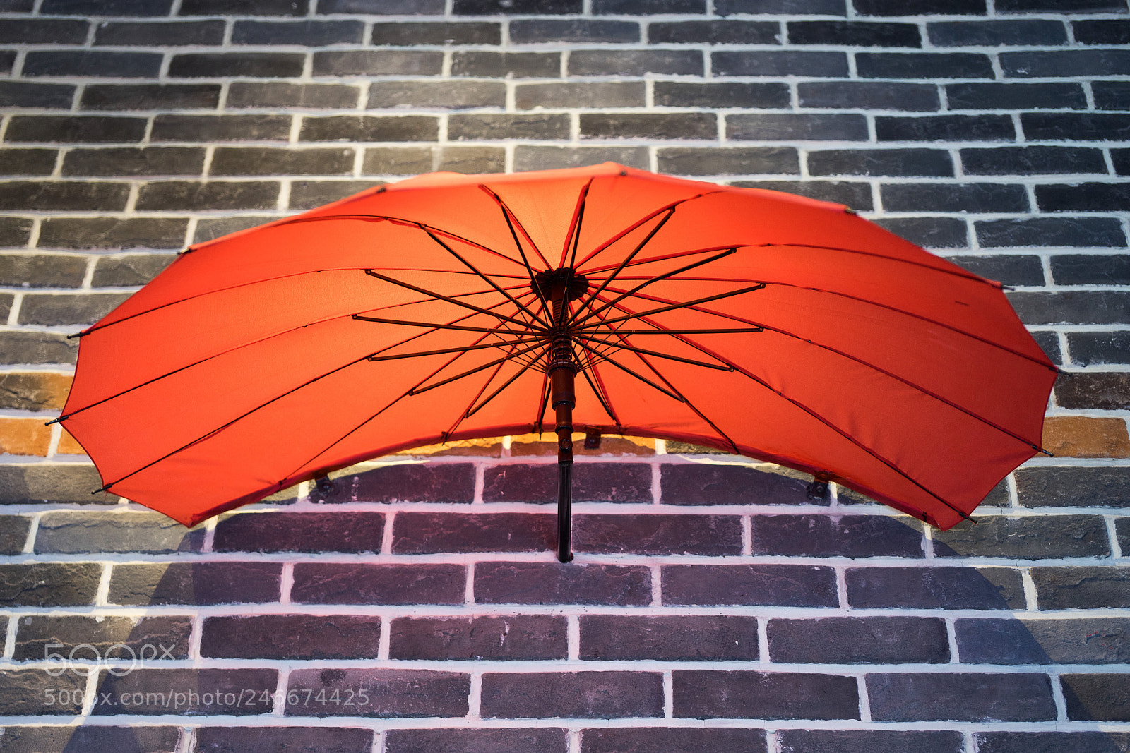 Sony a7 sample photo. Colorful #1 photography
