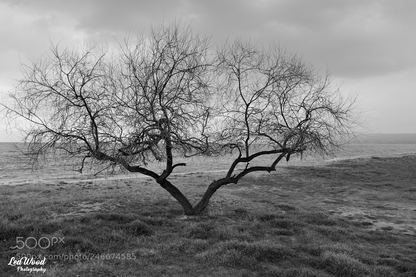 Nikon D7100 sample photo. Beach in winter photography