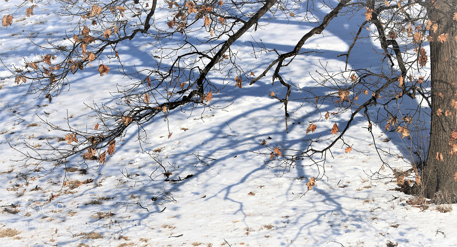 Canon EOS 7D Mark II sample photo. Untitled photography