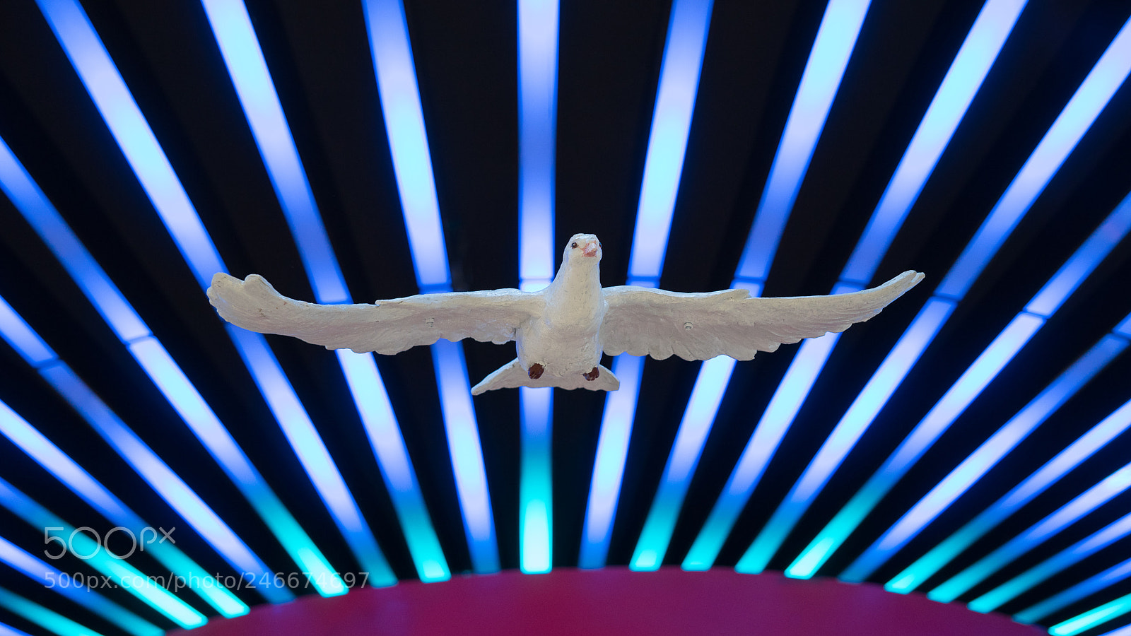 Sony a7 sample photo. Colorful #6 photography