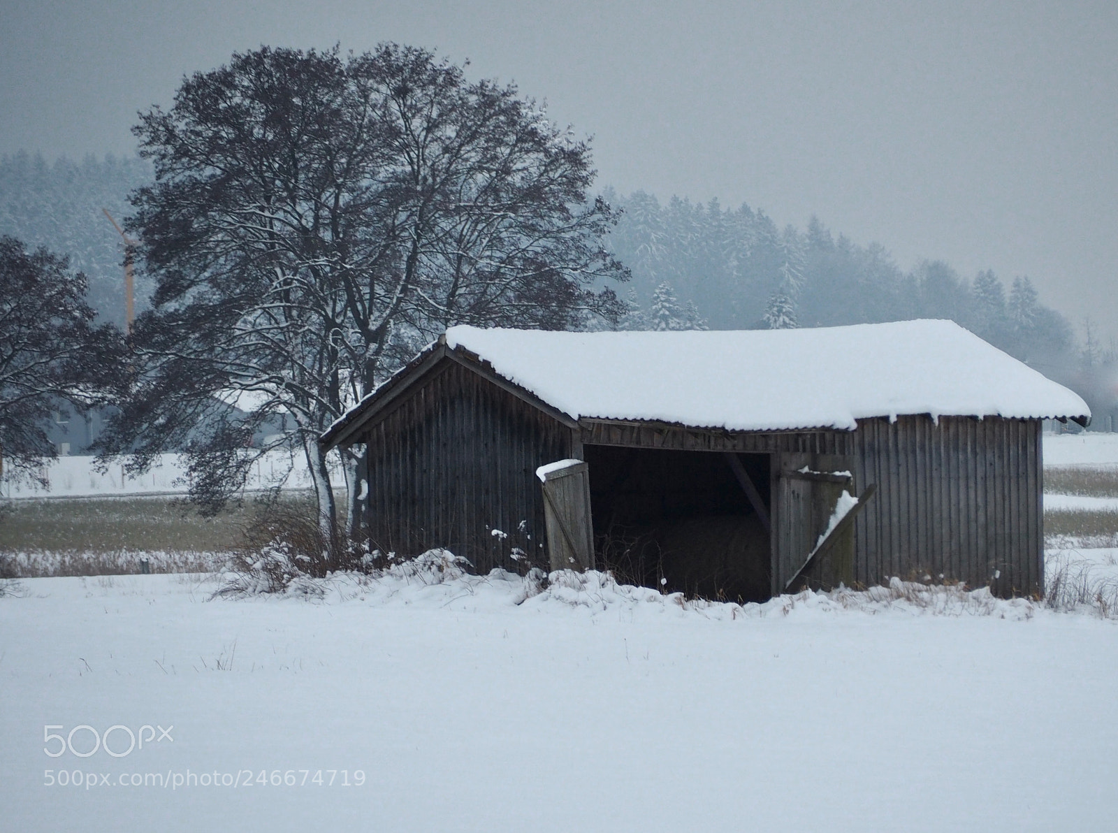 Olympus OM-D E-M5 II sample photo. Winter countryside stauden photography