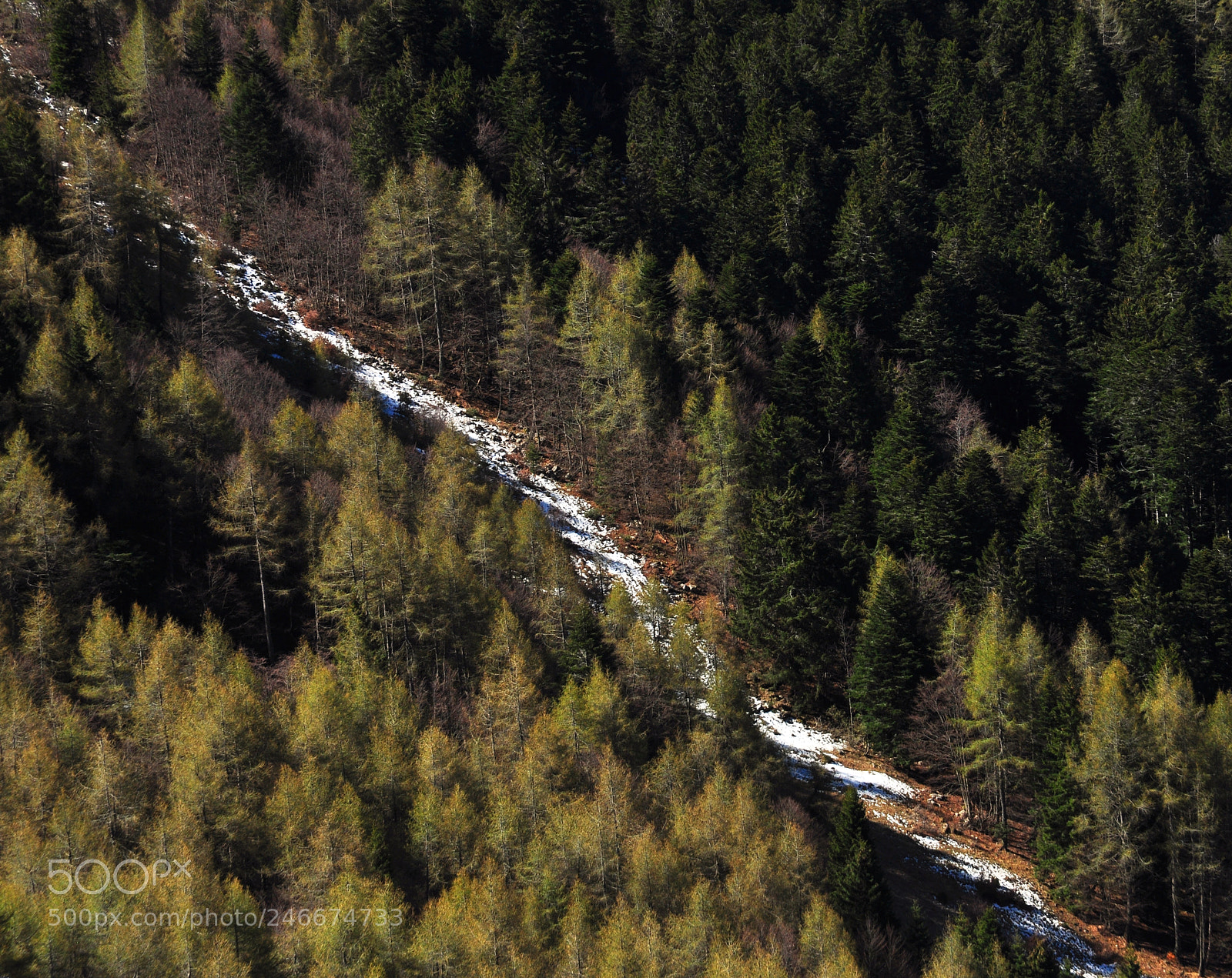Nikon D90 sample photo. Spring diagonal photography