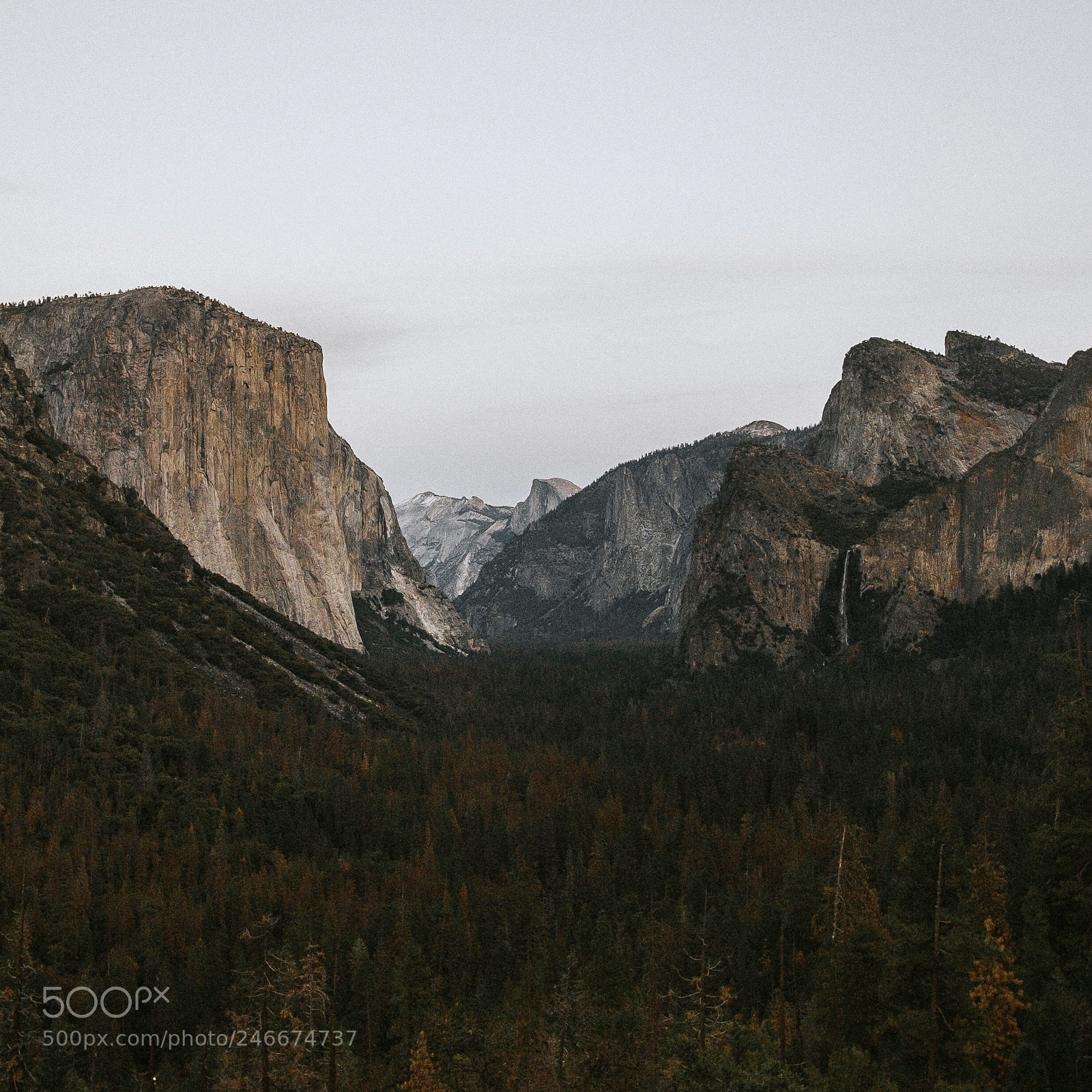 Fujifilm X-T2 sample photo. Yosemite photography