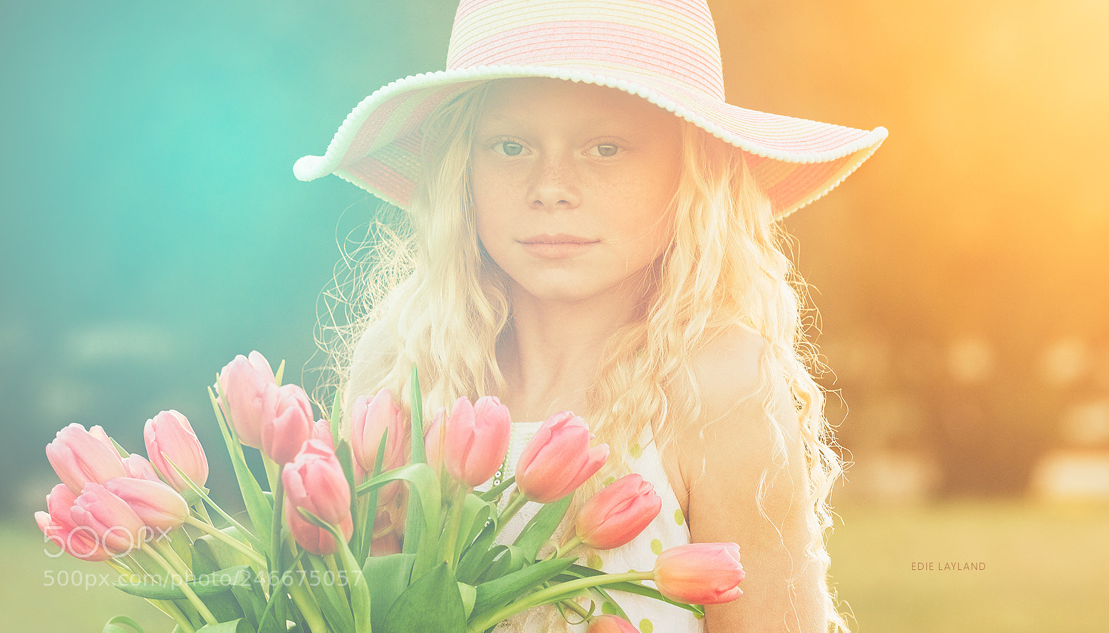 Nikon D850 sample photo. Springtime light photography
