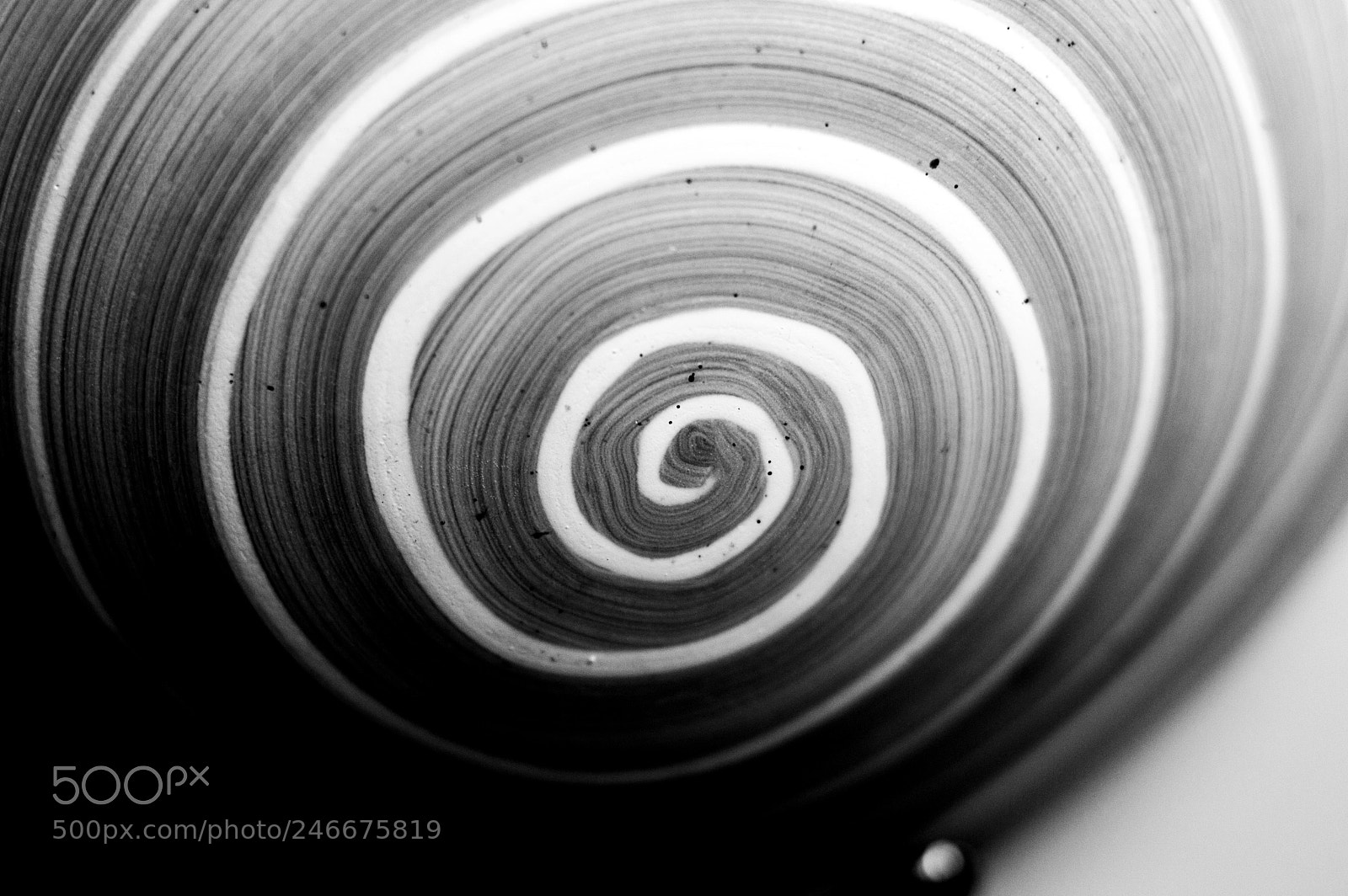 Nikon D3200 sample photo. Spiral photography