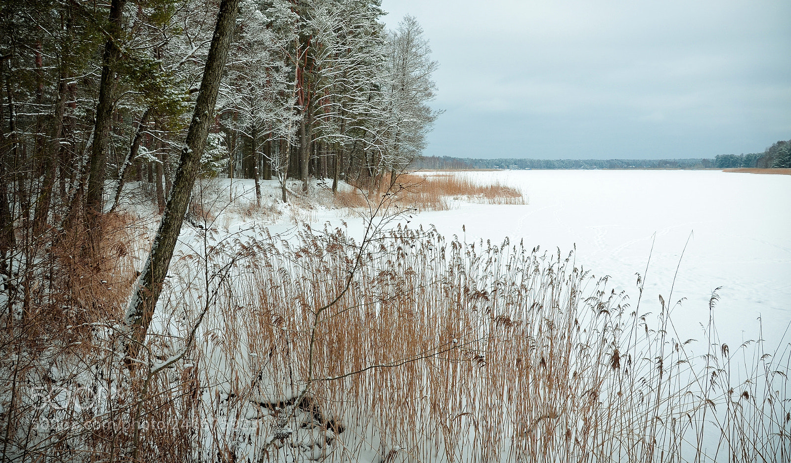 Nikon D5100 sample photo. Lielupe river photography