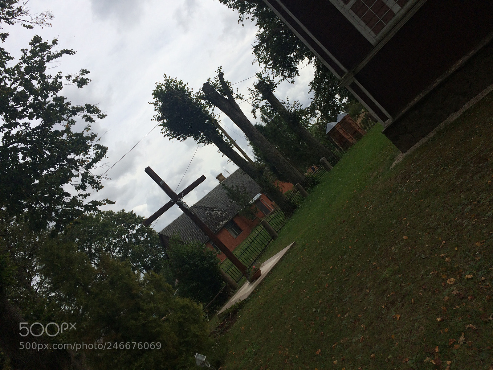 Apple iPhone 5s sample photo. (+) in nature photography