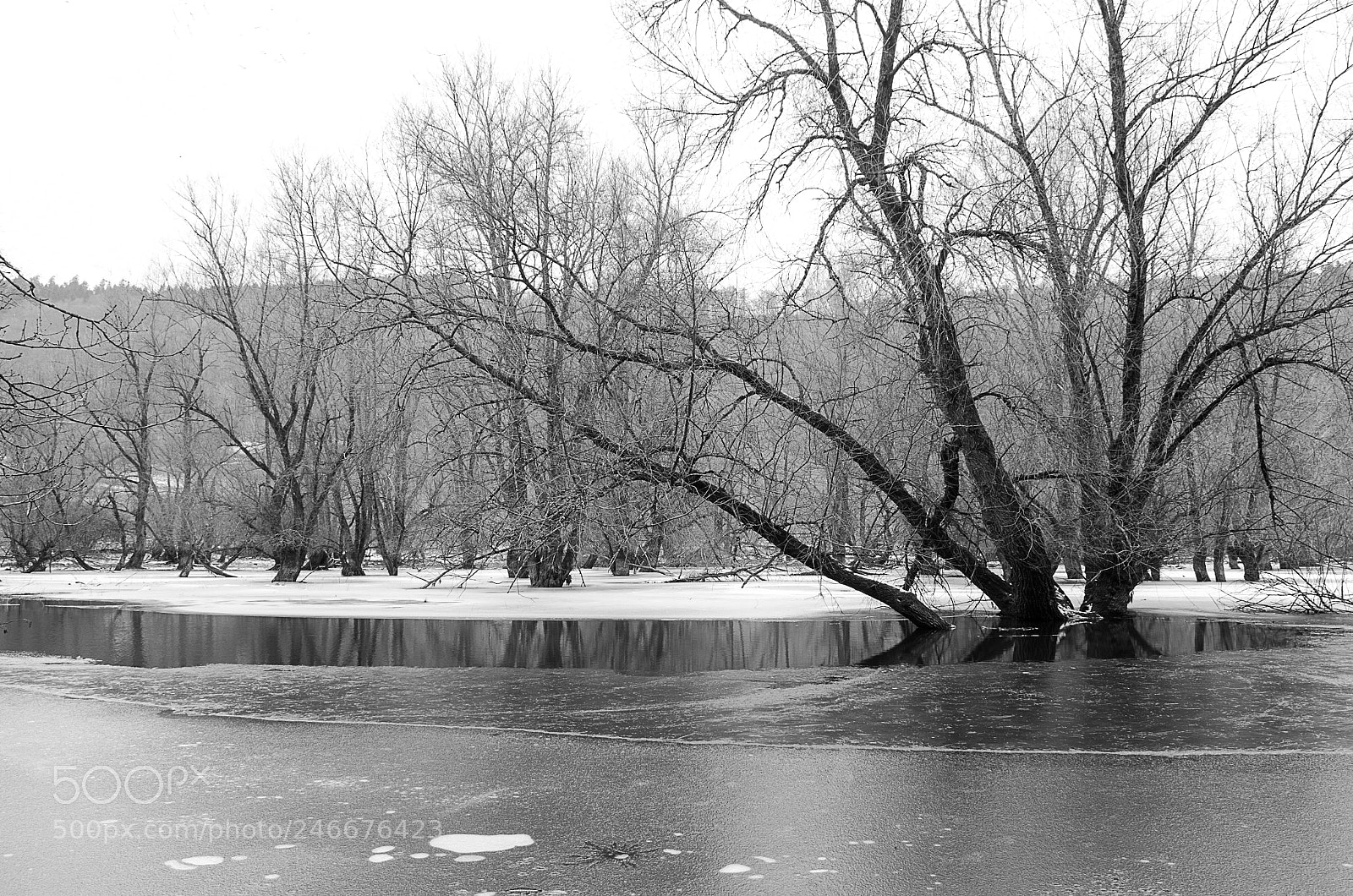 Nikon D5100 sample photo. Winter lake photography