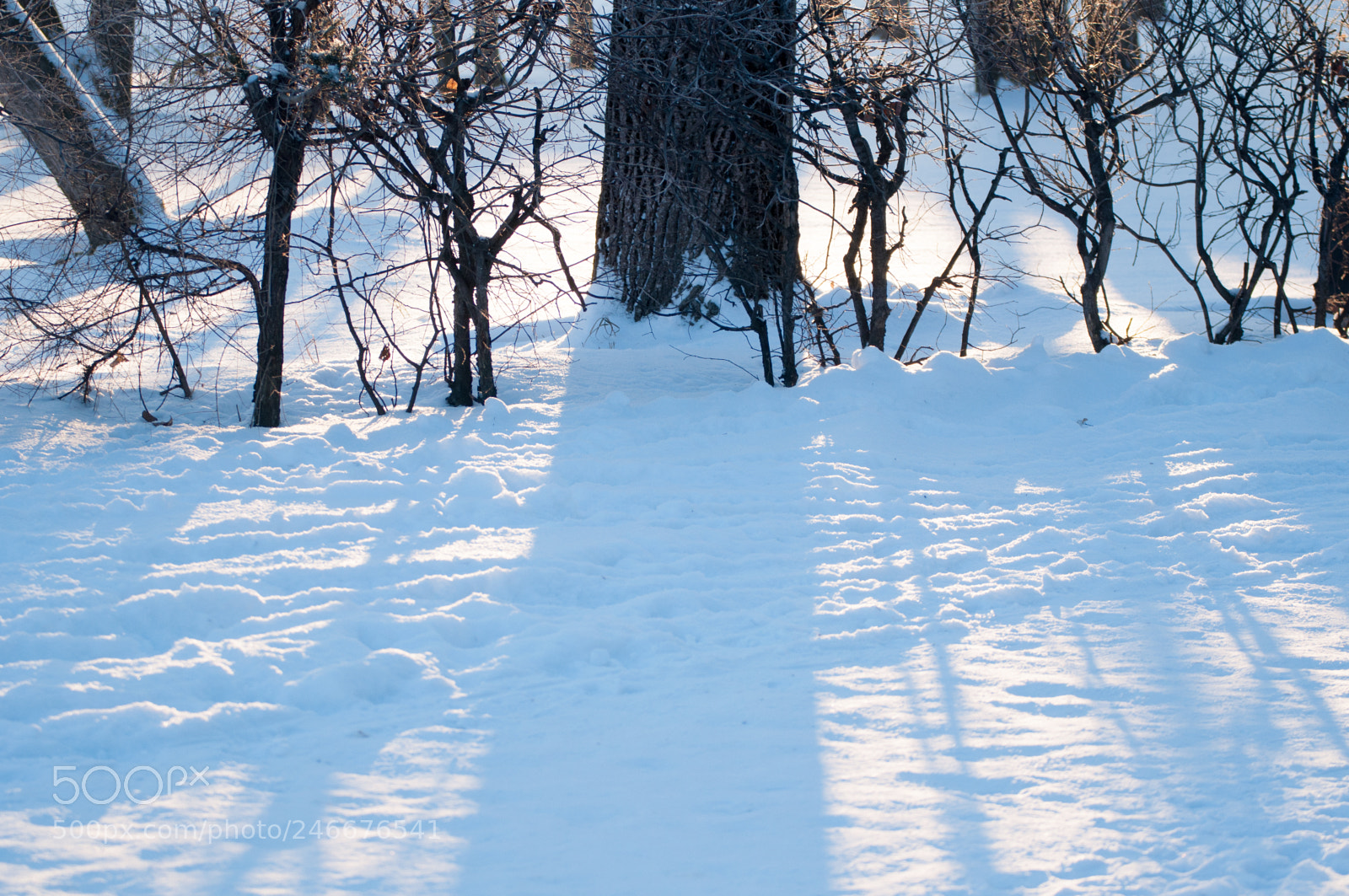 Nikon D5000 sample photo. Blue & white photography