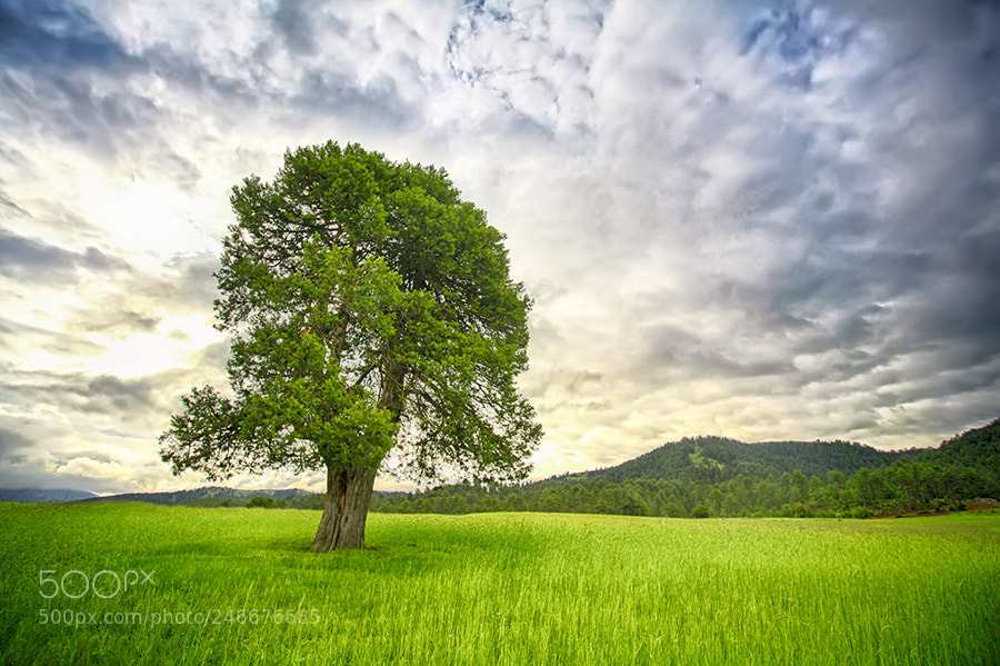 Canon EOS 5D sample photo. Beautiful landscape photography