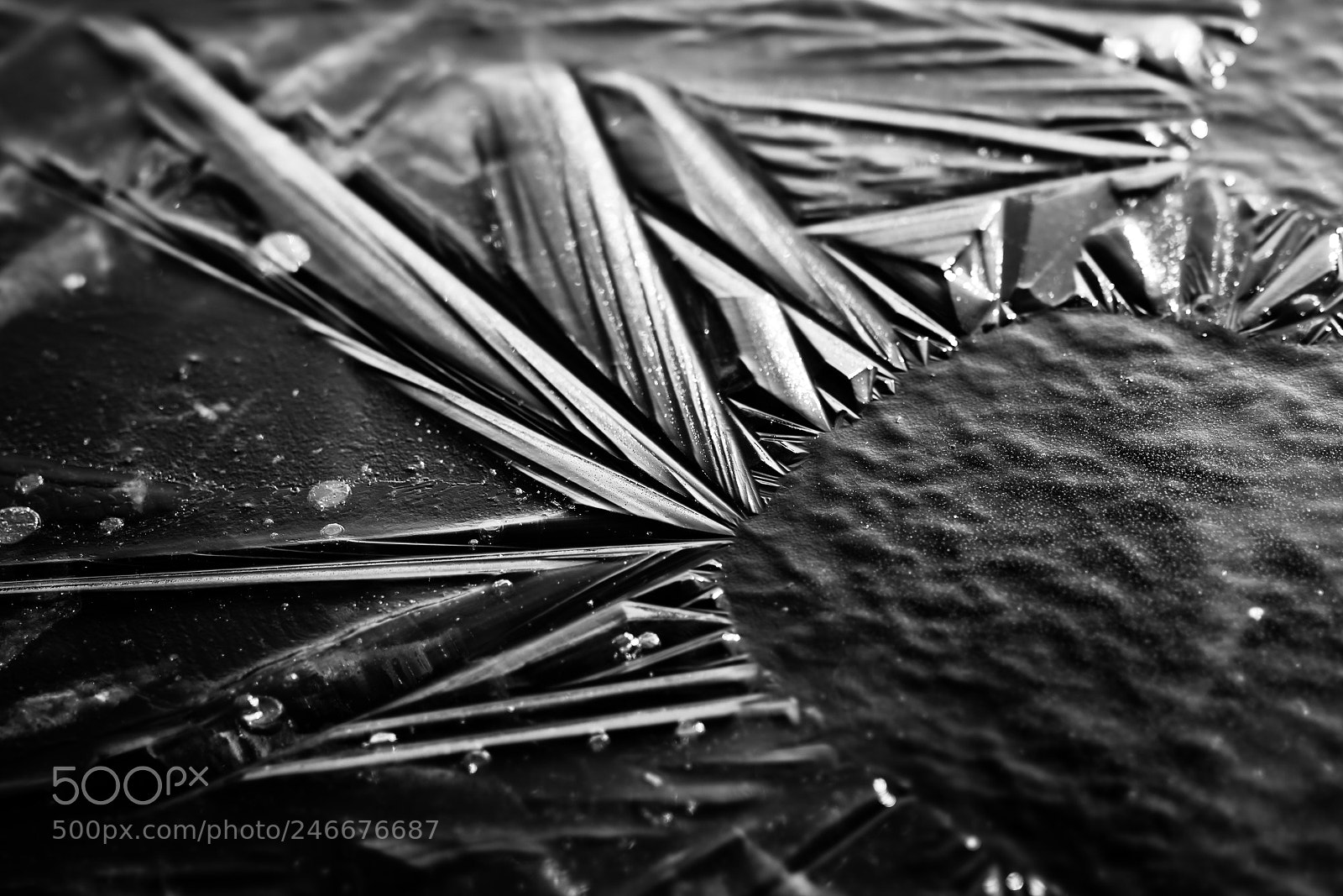 Sony a7R II sample photo. Structures in ice photography
