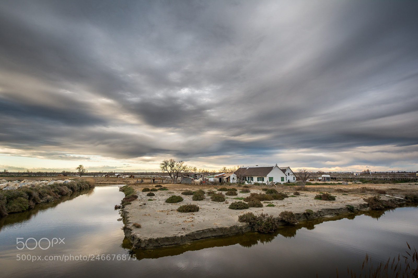 Nikon D7100 sample photo. Un peu de camargue photography