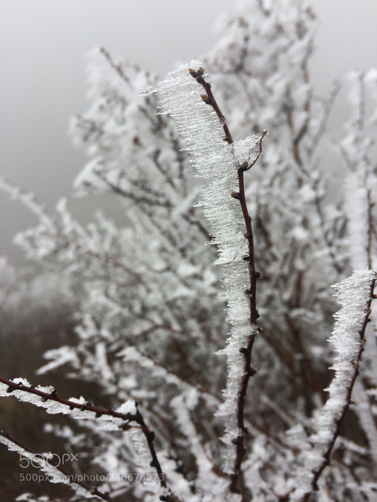 Apple iPhone 5s sample photo. Untitled photography