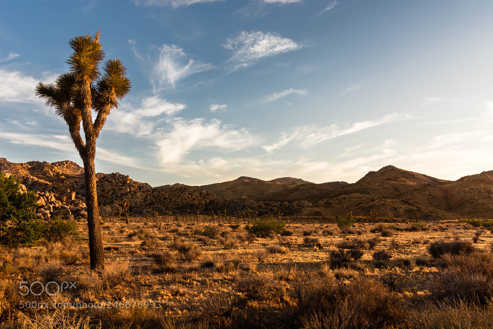 Nikon D7100 sample photo. Desert edit photography