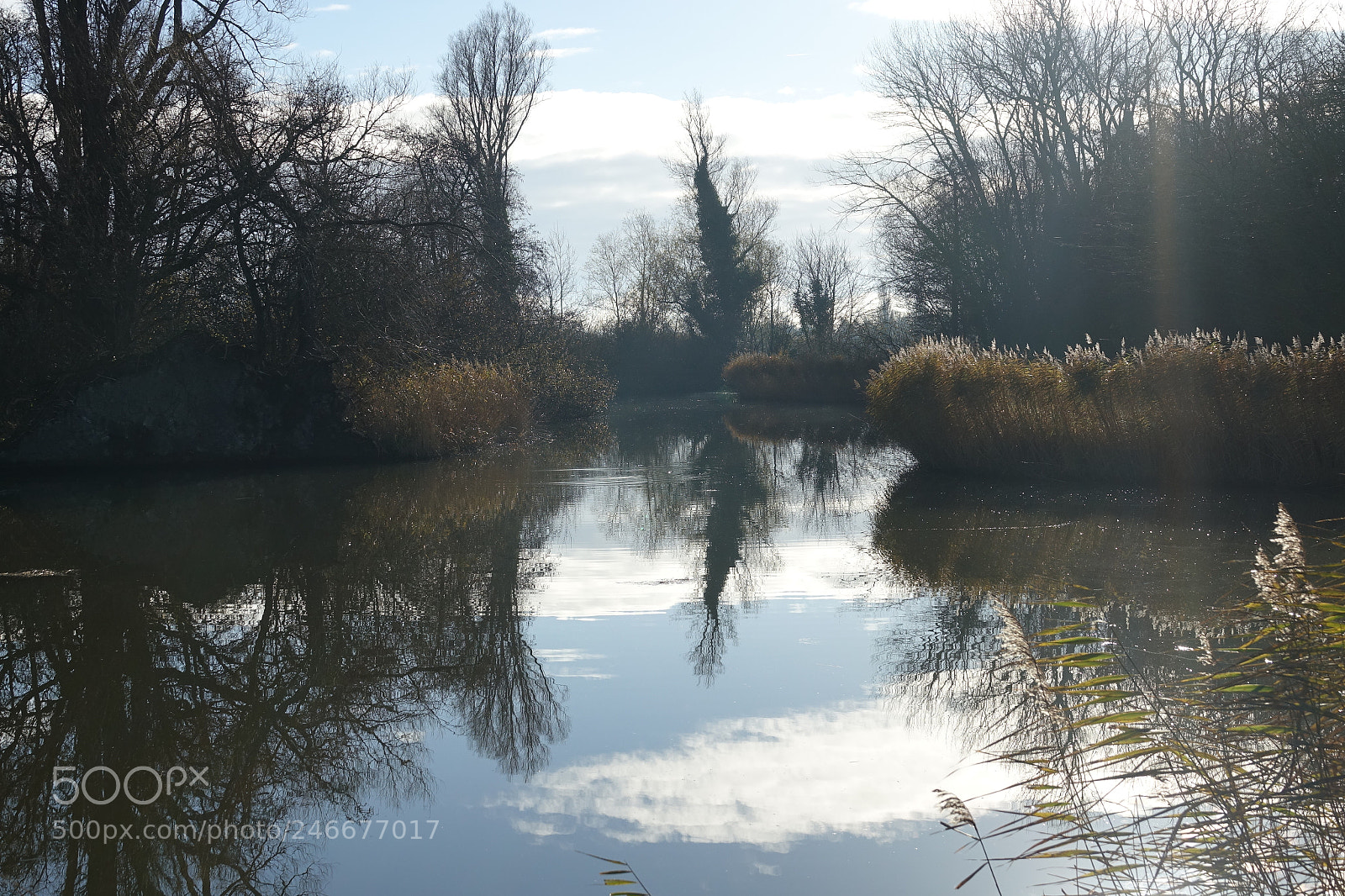Sony Cyber-shot DSC-RX10 III sample photo. Oudkarspel reflexion in water photography