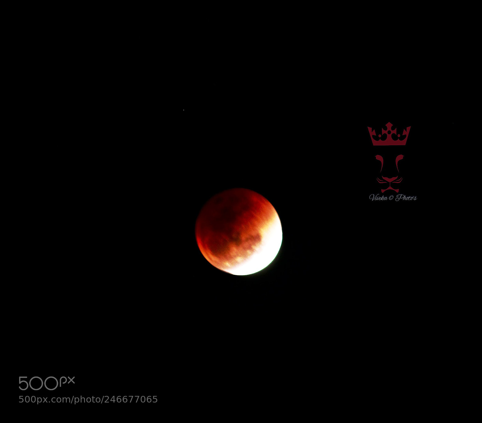 Canon EOS 1300D (EOS Rebel T6 / EOS Kiss X80) sample photo. Red moon eclipse photography