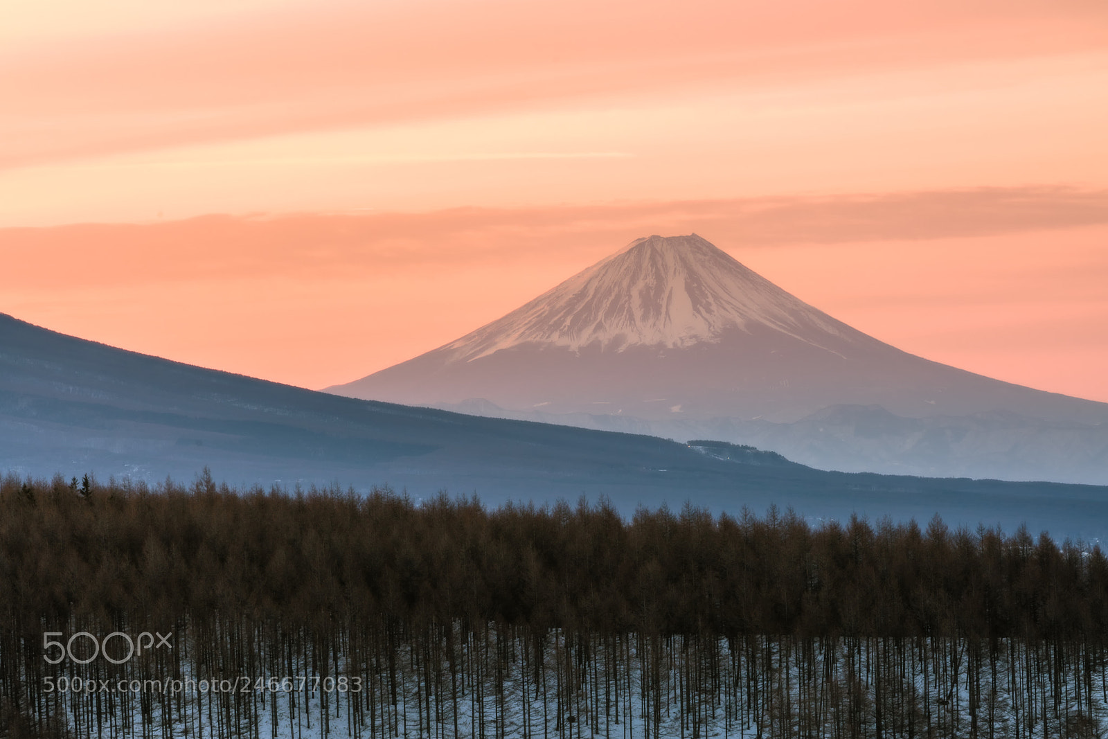 Sony a7R III sample photo. Mt.fuji photography
