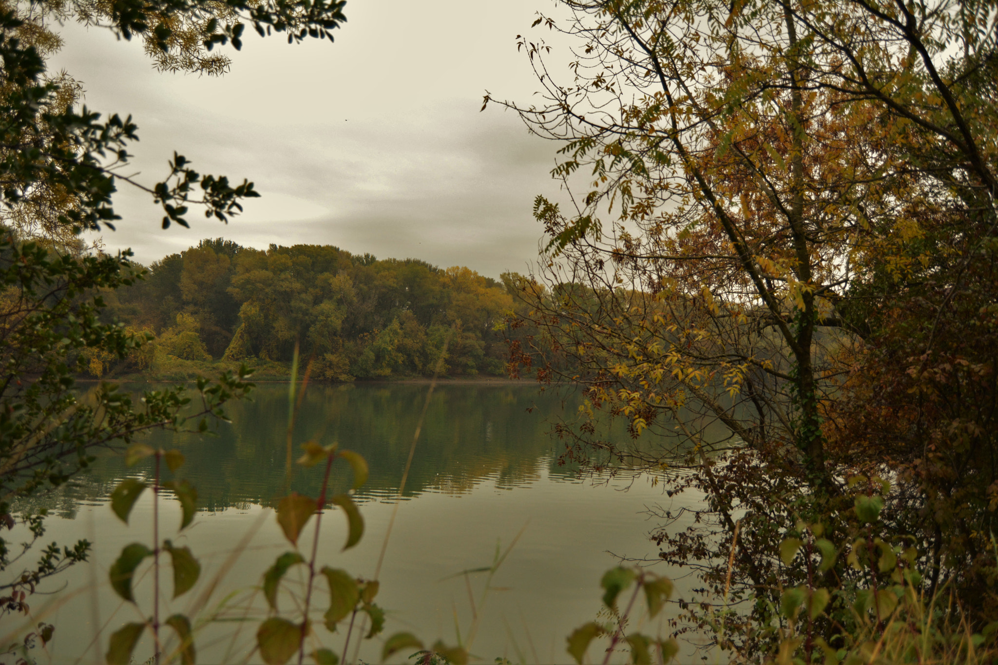 Nikon D5200 sample photo. Lac photography