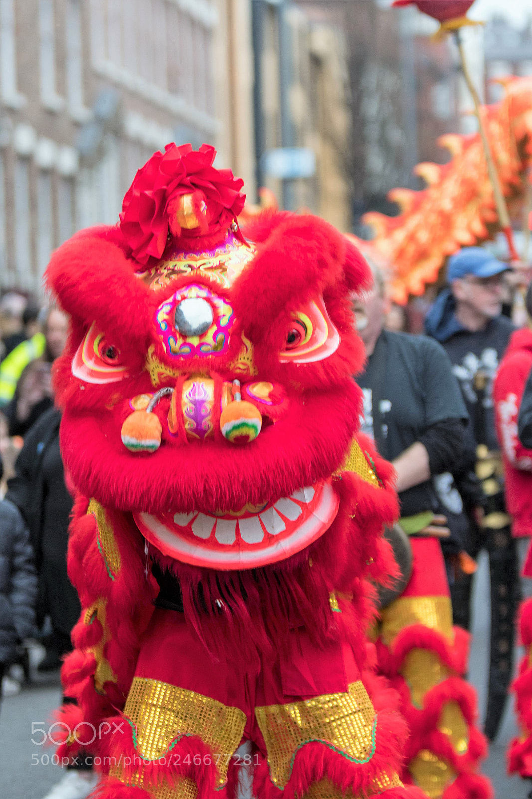 Nikon D500 sample photo. Chinese dragon photography