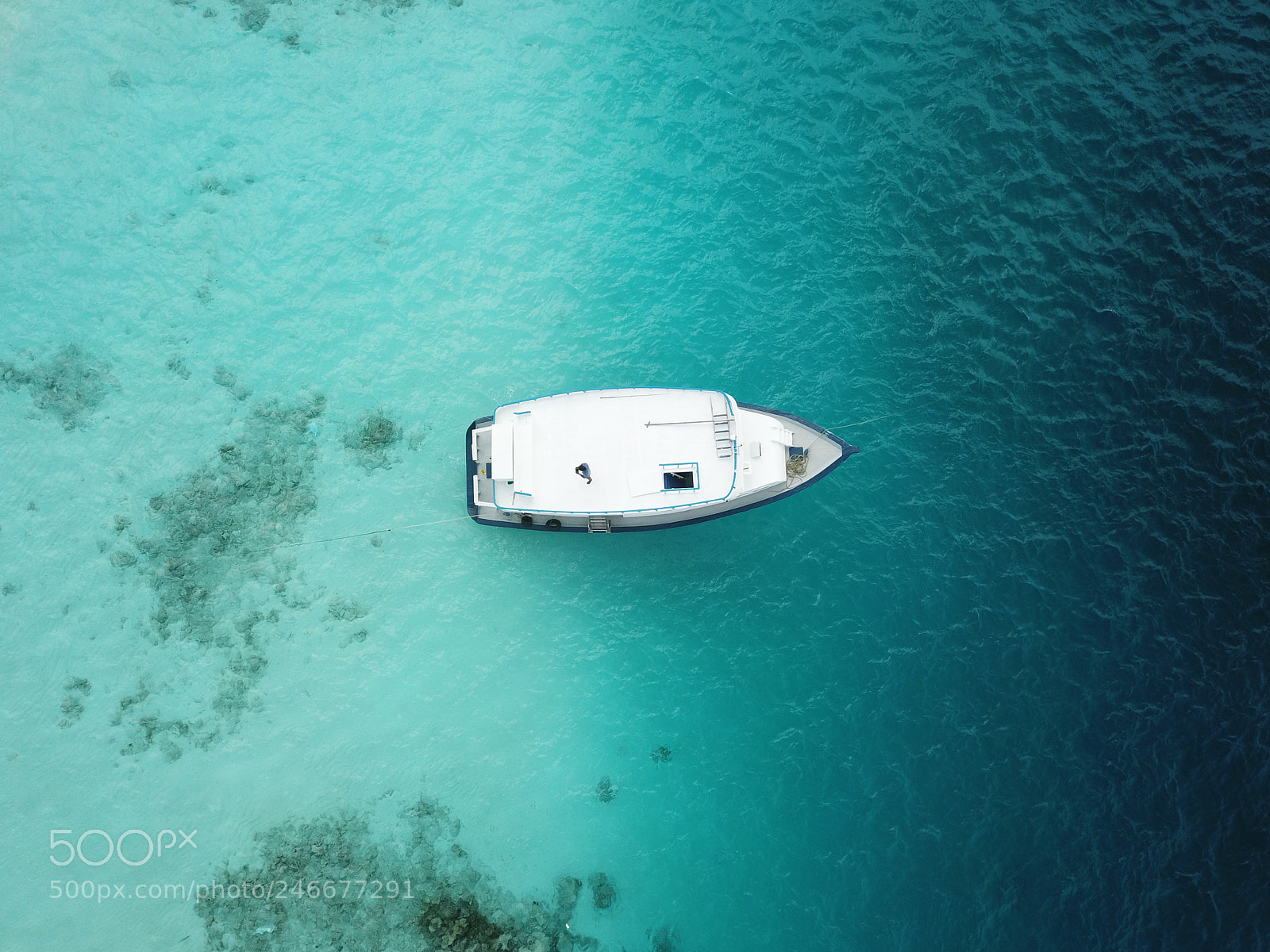 DJI FC220 sample photo. Untitled photography