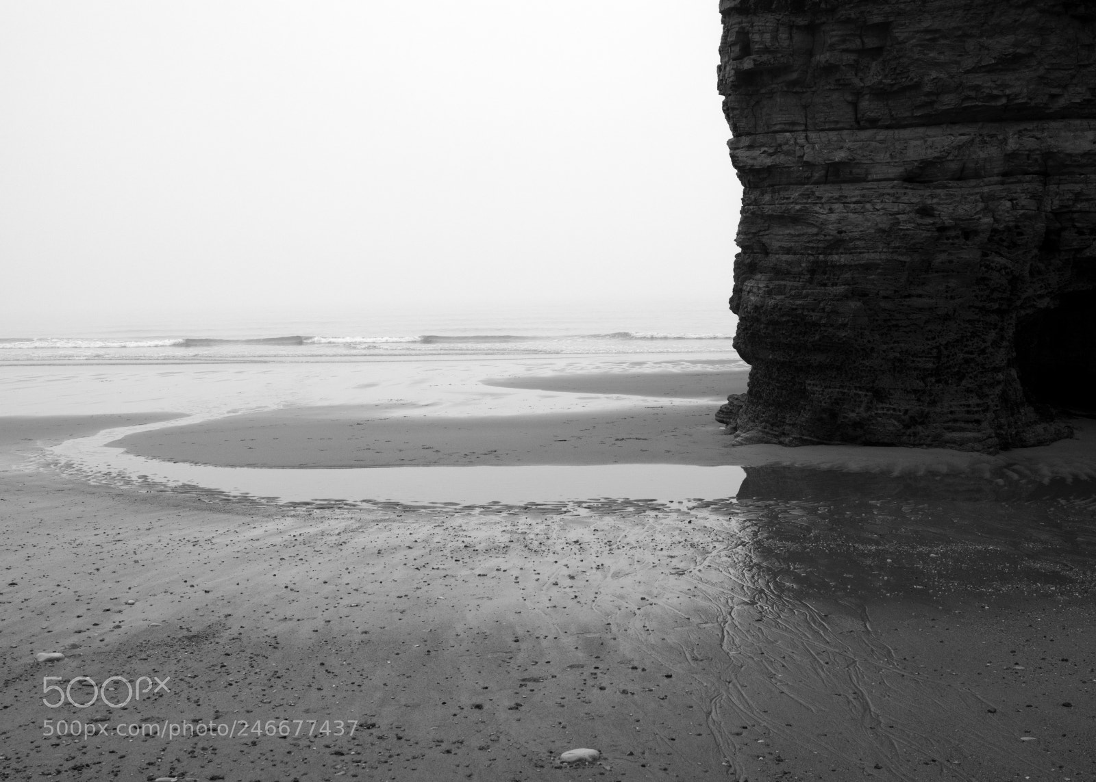 Fujifilm GFX 50S sample photo. Cold misty morning ii photography