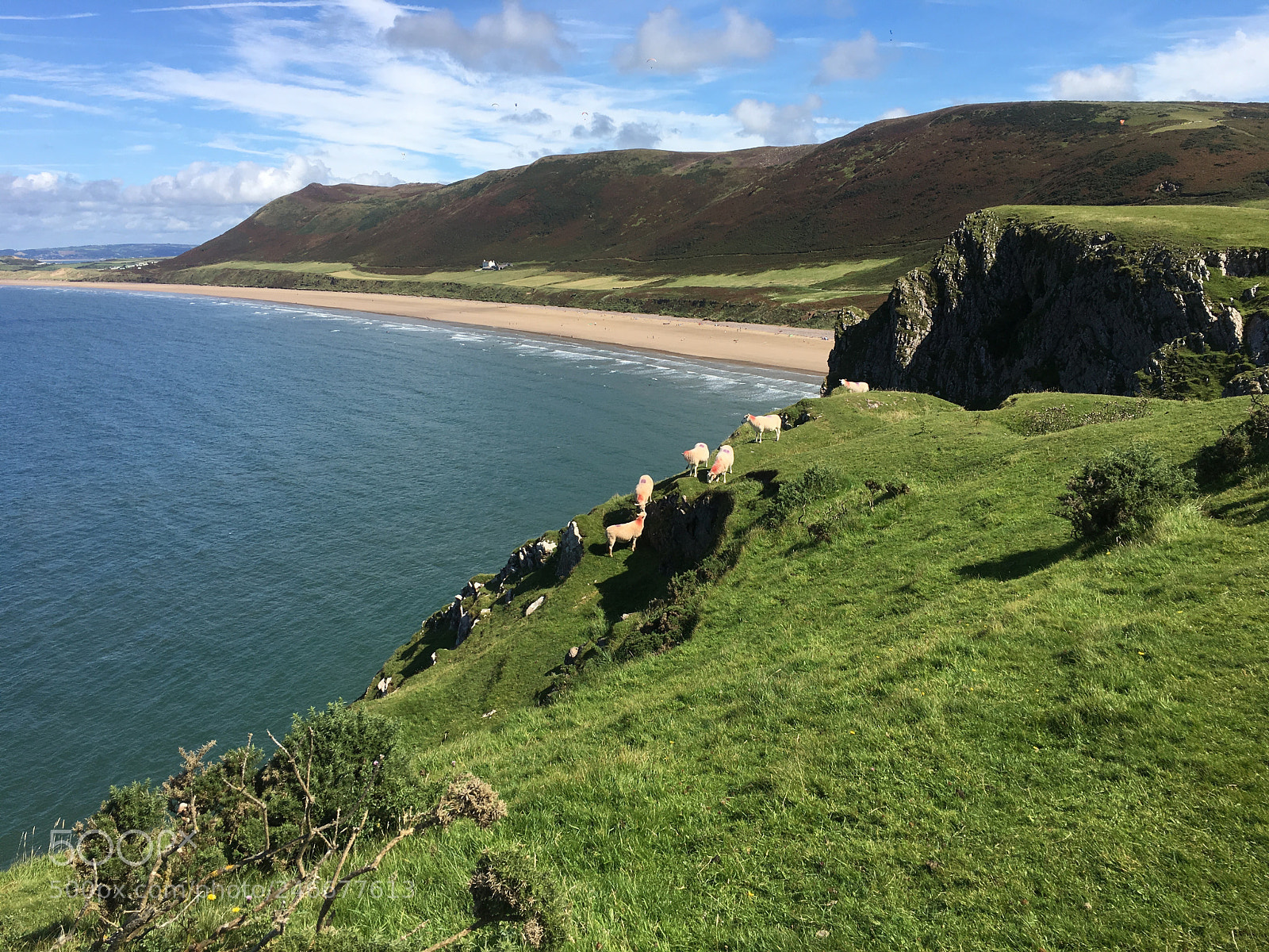 Apple iPhone 6s sample photo. Sheep at rhossili photography