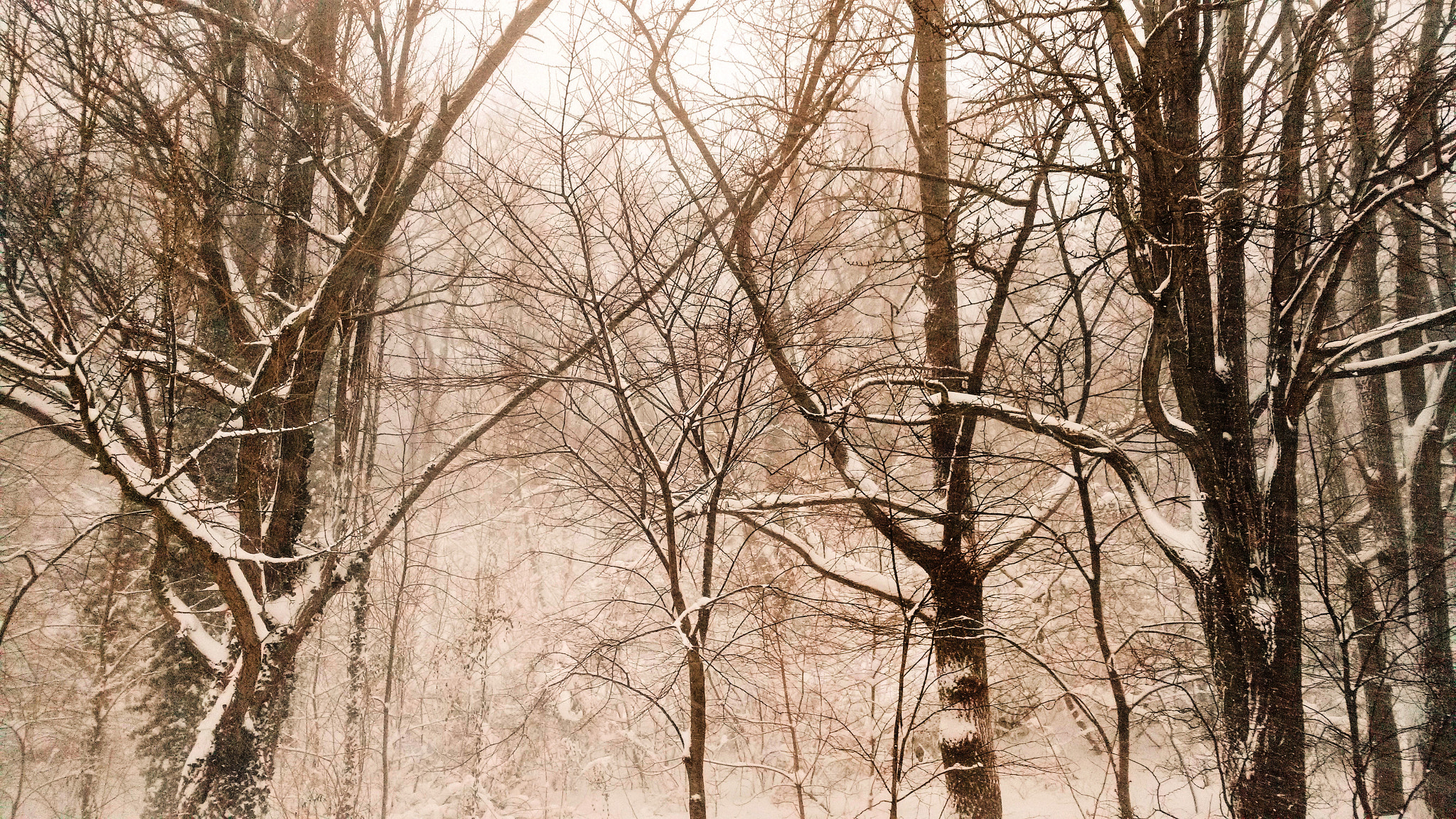 Motorola DROID MAXX 2 sample photo. Prospect park blizzard photography