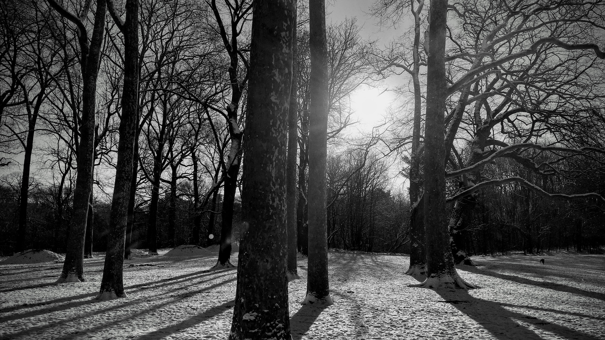 Motorola DROID MAXX 2 sample photo. Prospect park storm photography