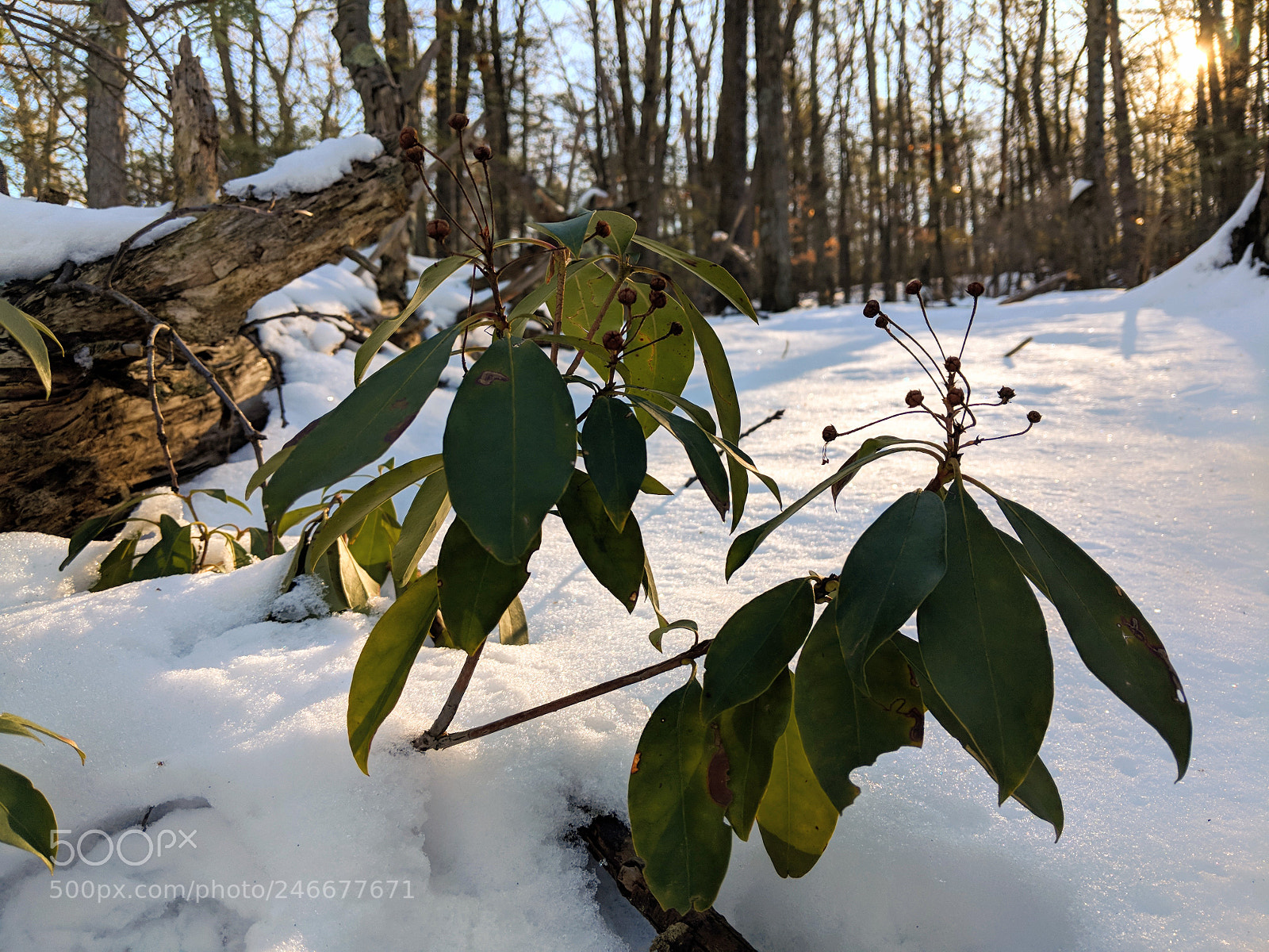 Google Pixel 2 sample photo. Case mountain photography