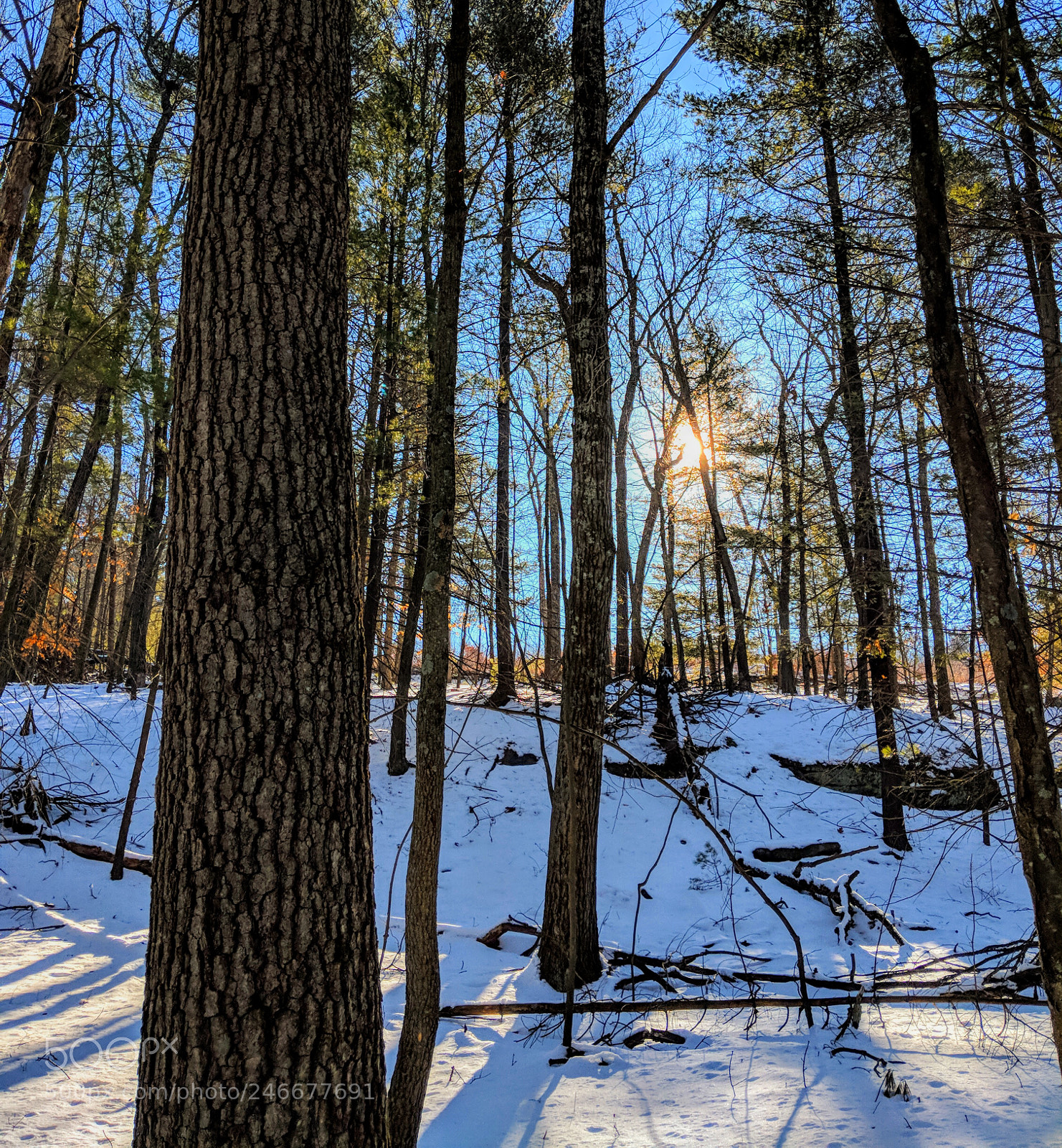 Google Pixel 2 sample photo. Dawn at case mountain photography