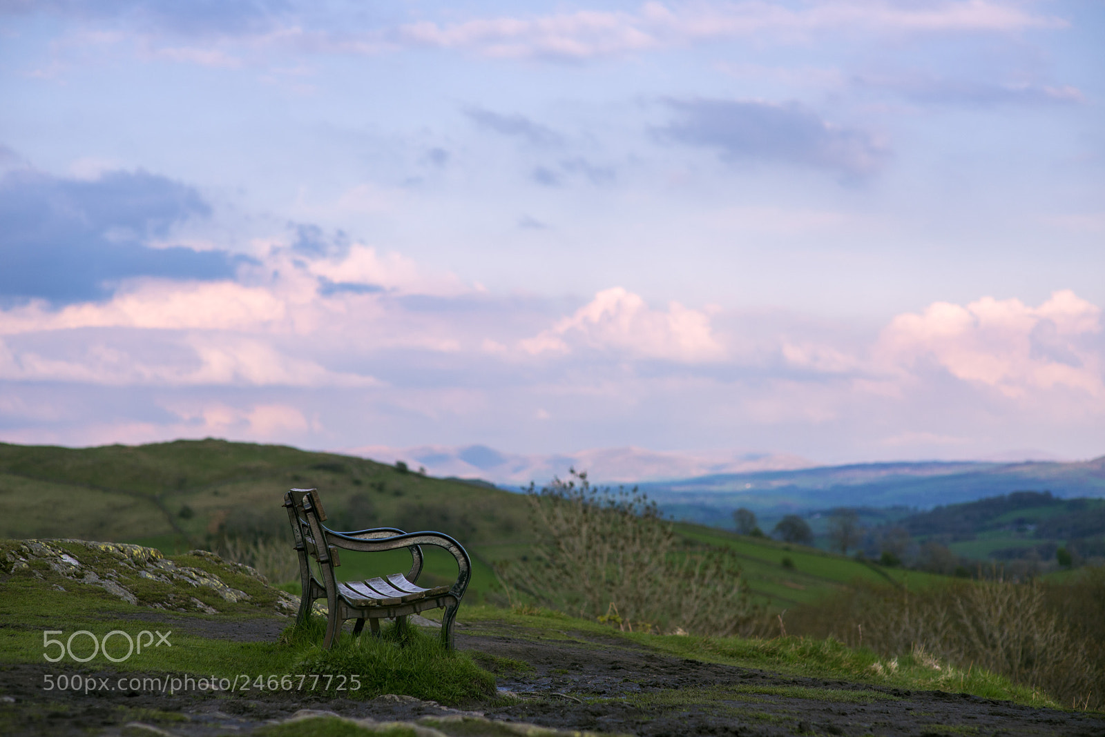 Nikon D600 sample photo. Chair on top of photography