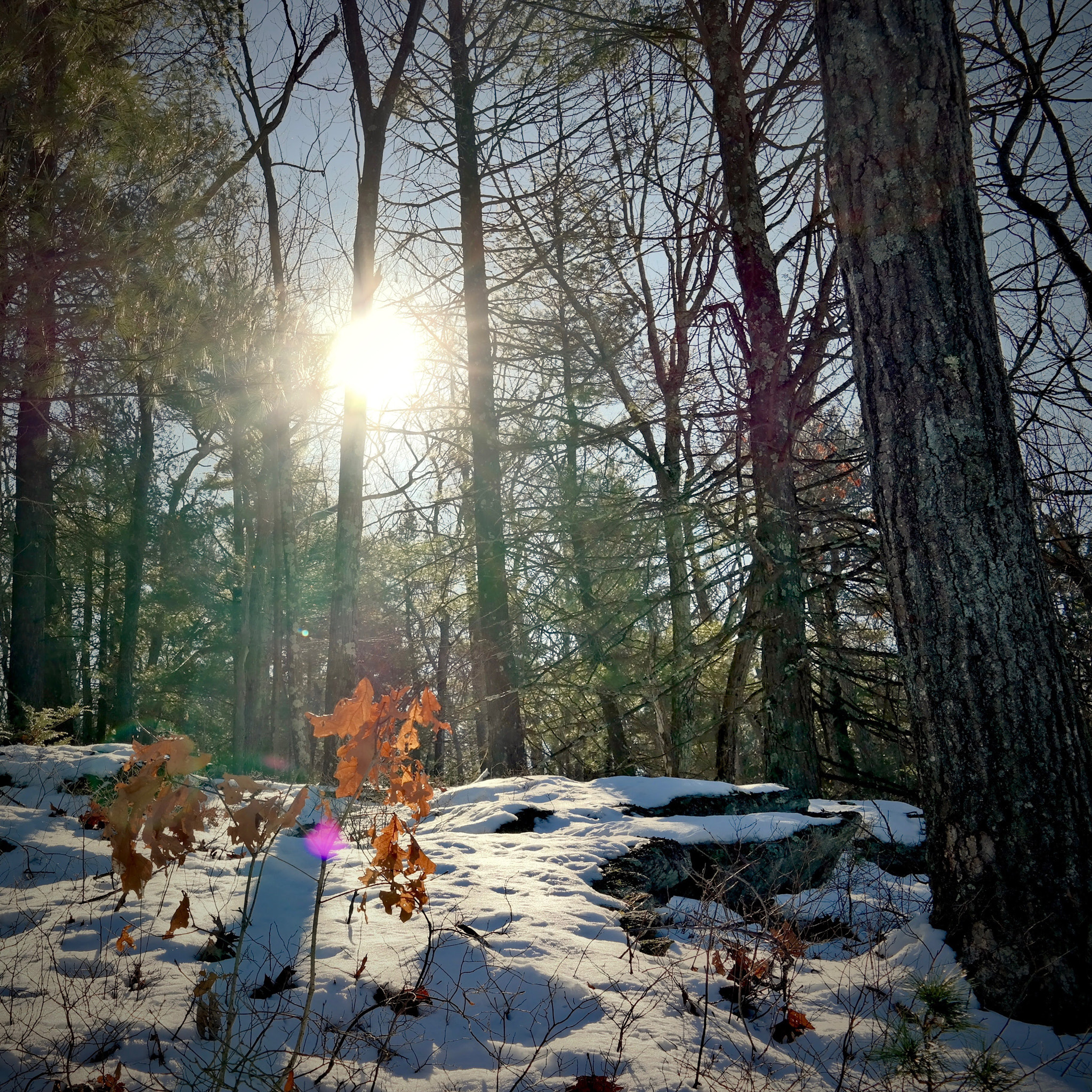 Samsung NX300M sample photo. Dawn on case mountain photography