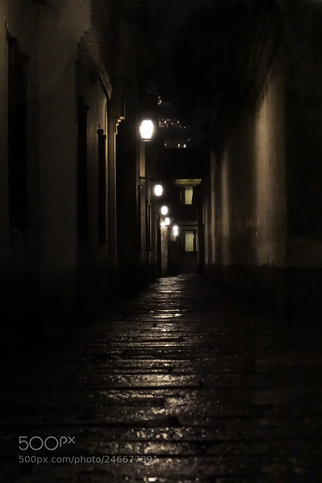 Sony Cyber-shot DSC-RX10 III sample photo. Alone photography
