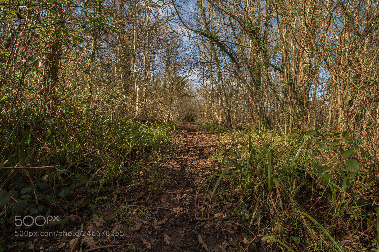 Canon EOS 7D Mark II sample photo. Untitled photography