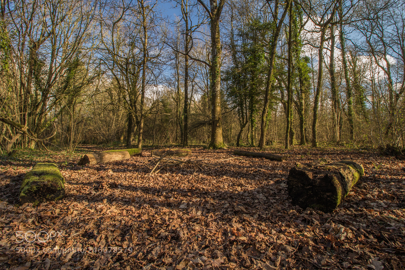 Canon EOS 7D Mark II sample photo. Untitled photography