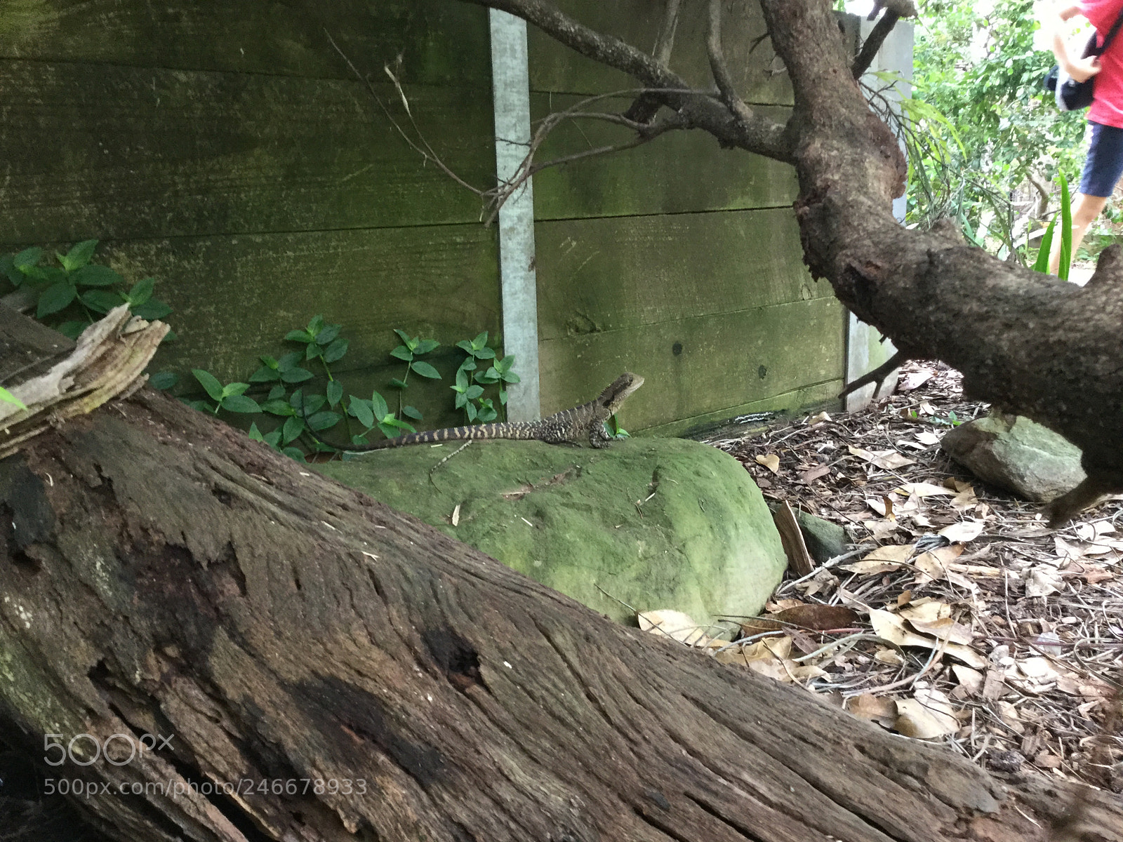 Apple iPad Air 2 sample photo. Untitled photography