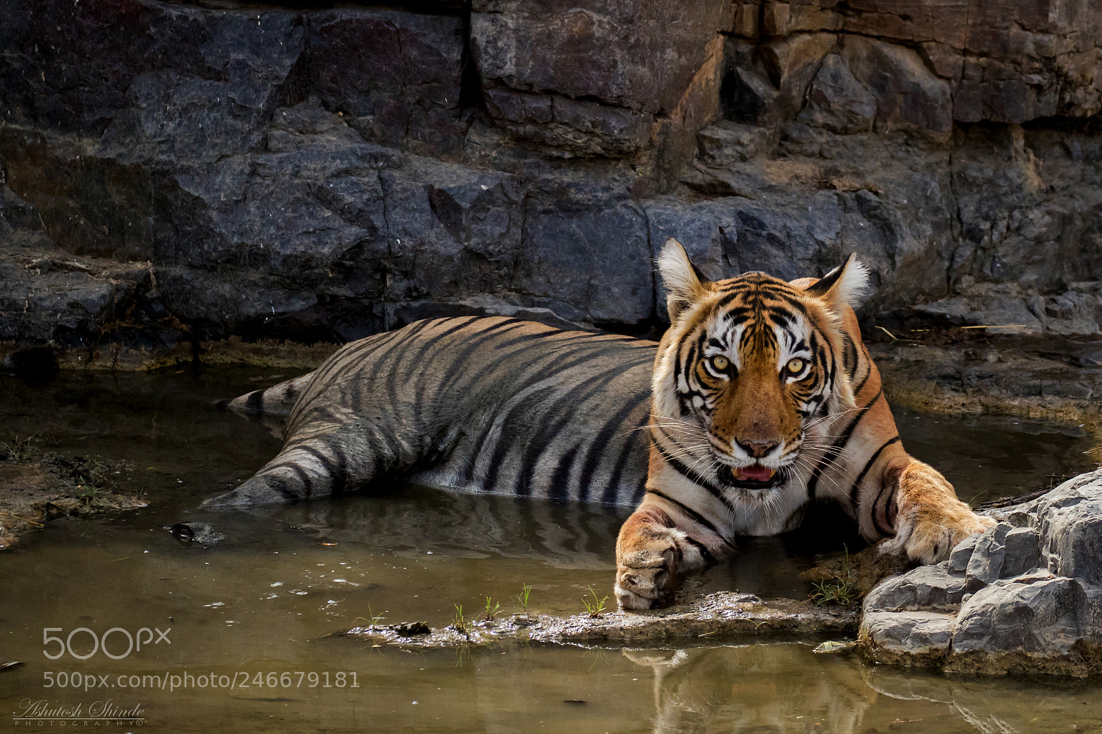 Canon EOS 7D Mark II sample photo. Laadli photography